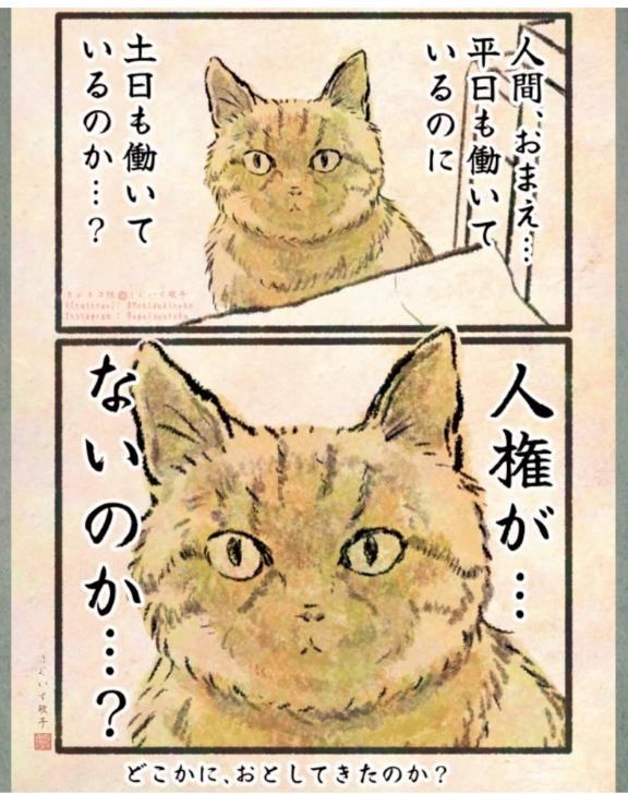 3dc594472fc9bbff738c3e34b4cb2b82