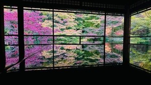 D75dc793d5c3ef99e4bc33fddcc672f1