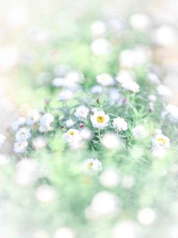 Eb10a606215d4e94fdc70bee1d4f40de