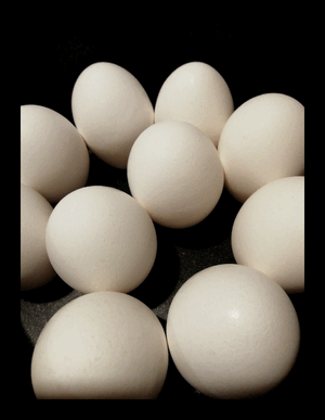 Dd272c002b9ebea8154e38bf5f331b0e