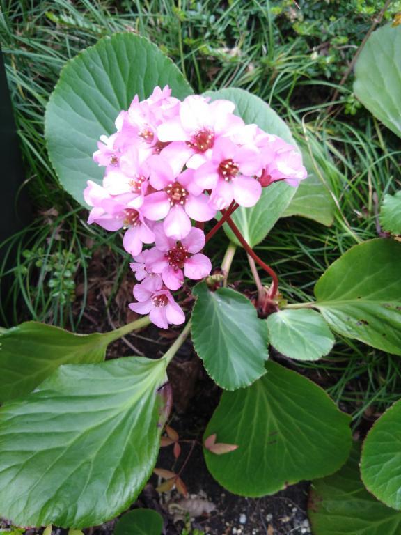 Dfd3128d84f6913da57e096be96ce959