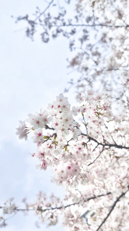 2beff6ad6501b2bc779ca0ddbd5e0a8a