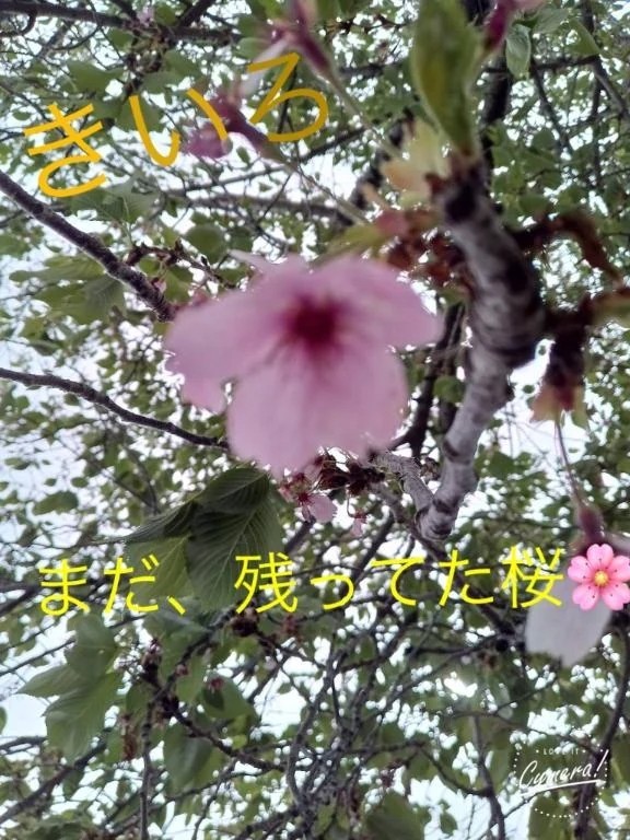 7d32e7ddf807ddec8b48436f726fe65d