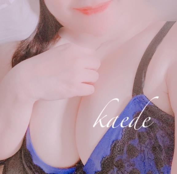 833e8a8a8ef2f9383856dbded97f5f14