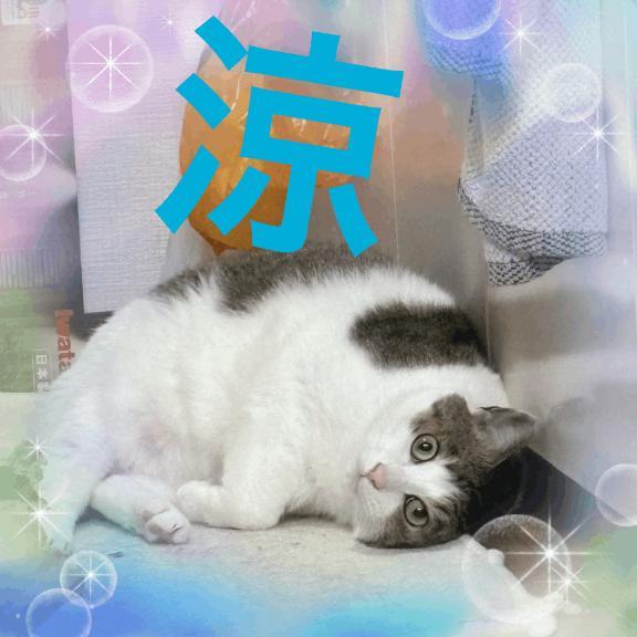 D5f7f3a8479f3e3efc0af1fe2ea2fc4d