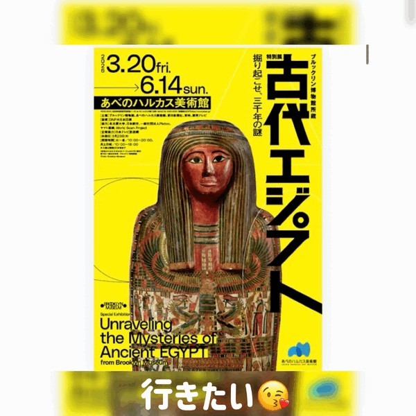 2aeb6fa095fbacbb48f104e8d548b20e