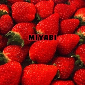 B1687d84e0072d66bddda7e882d359d9