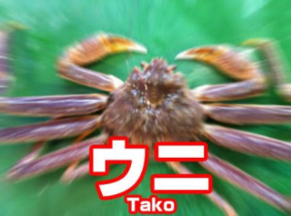 F1ec12cfdc4d23be52da6fdcc5376c3e