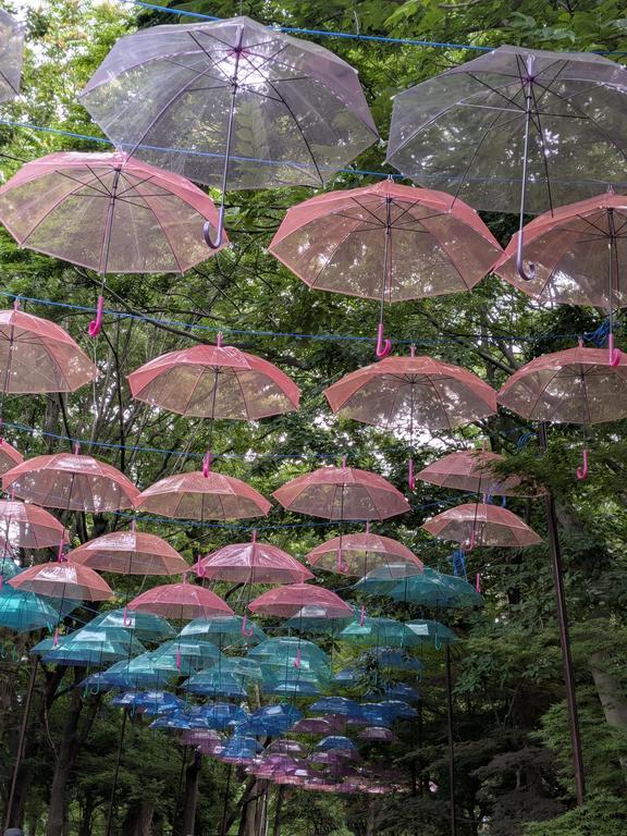 8b16a1f8a858d6dd76e55c0237fb05e2