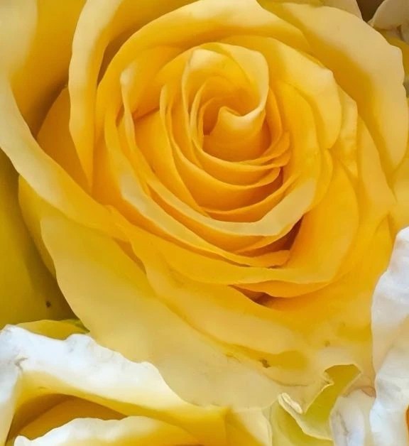 5c2ab2c8fcece3d962b66aaa3e95bf72