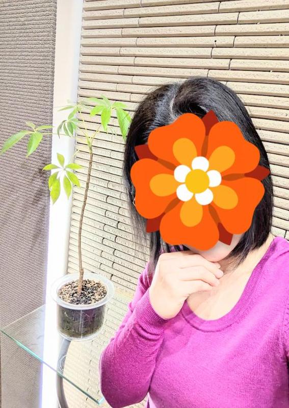 B0a53763bcf3af06f805fd29015dbd43