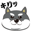 2a0fe5e30e1ee44f0b503ab30fa2e4c2