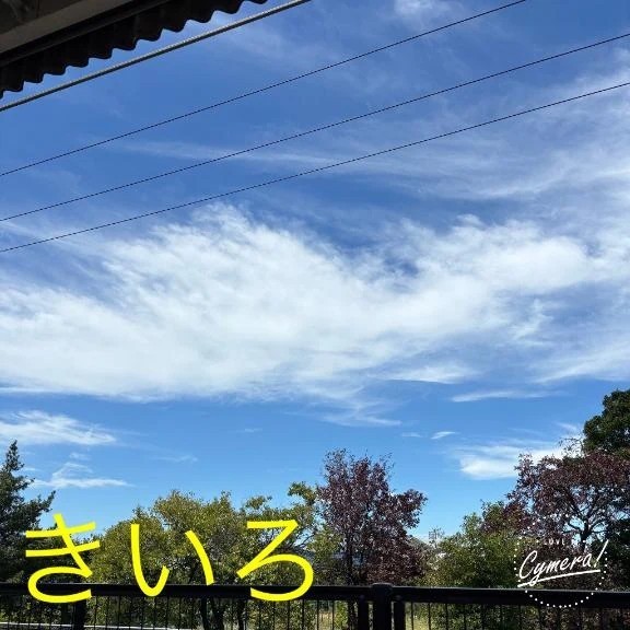 F27bd690187285f23efd297e8ae5ce53