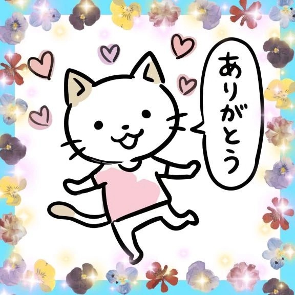 B00bc63e7cca456d7d1ca24696fdbbc9