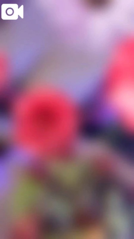 Be3cffdf8a8101e50b74df8b6aa7876b