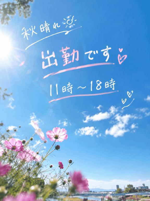 E6cd7222e41a6f987b5aba9519a71bcf