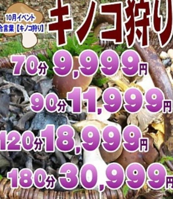 9f4e42f5bf2fc91c817281d462b434d3