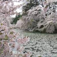 桜川逍遥